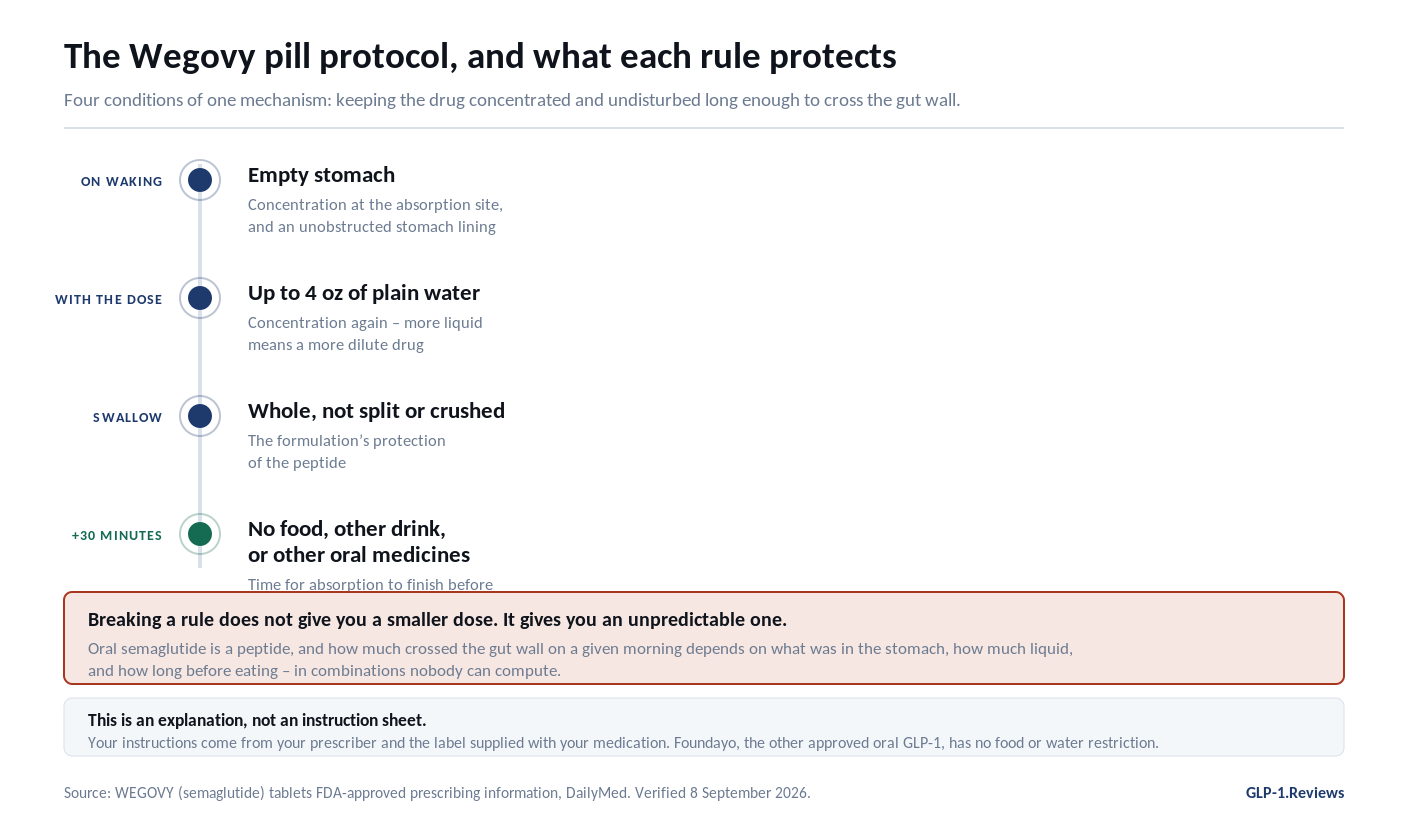 The Wegovy pill protocol as a morning timeline: empty stomach on waking, up to four ounces of plain water with the dose, swallow whole, then thirty minutes with no food, other drink or oral medicines, each paired with what it protects